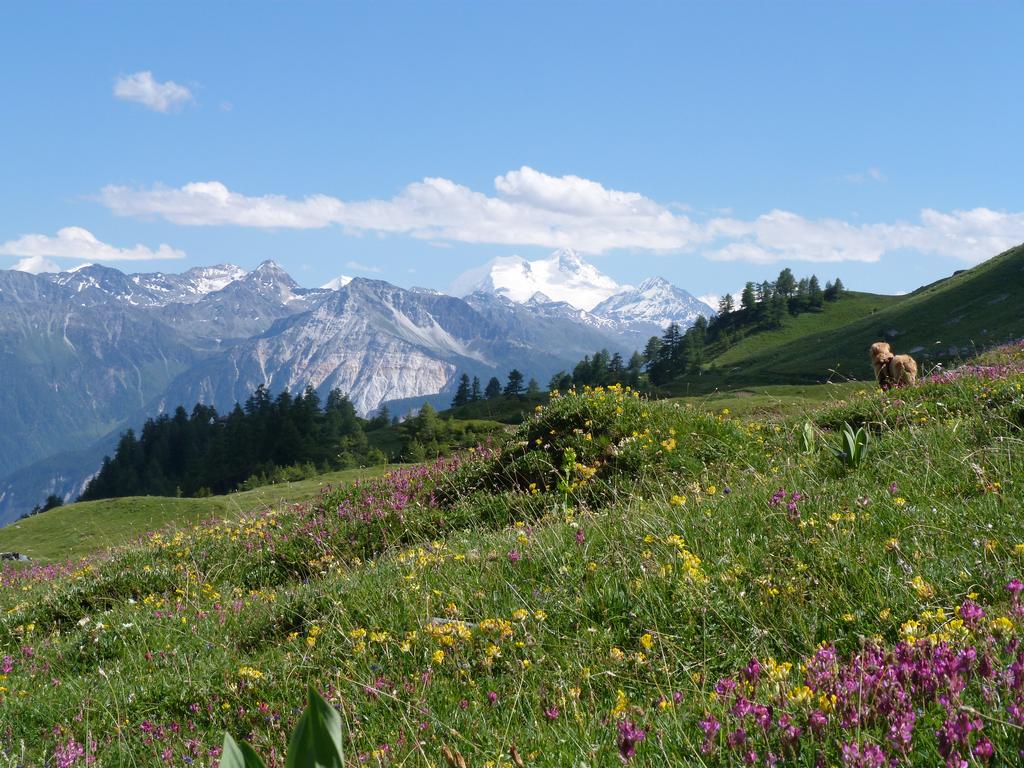 Cliqeu pour voir l'image suivante