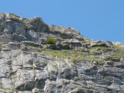 Clic pour agrandir l'image (1024x768 pixels; 175 KB)