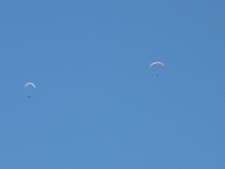 Clic pour agrandir l'image (1024x768 pixels; 22 KB)