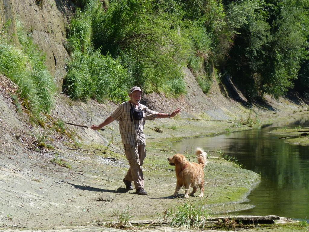 Clique pour voir l'image suivante
