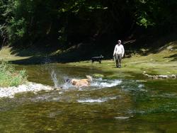 Clic pour agrandir l'image (1024x768 pixels; 152 KB)