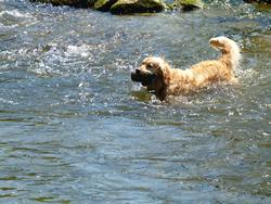 Clic pour agrandir l'image (1024x768 pixels; 189 KB)