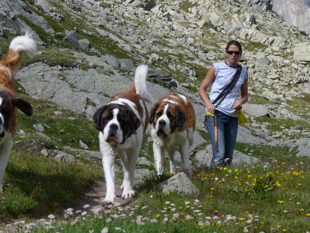 Clic pour l'image suivante