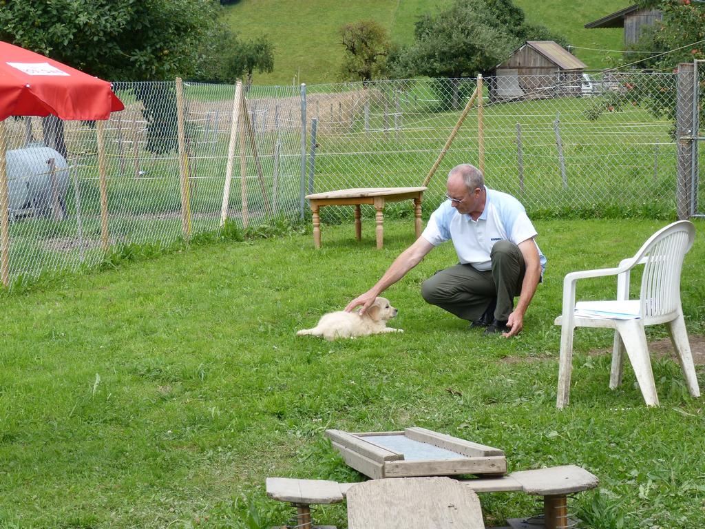 Clic pour l'image suivante