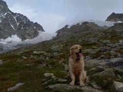 Clic pour agrandir l'image (1024x768 pixels; 116 KB)