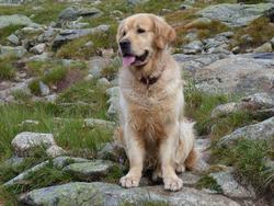 Clic pour agrandir l'image (1024x768 pixels; 201 KB)