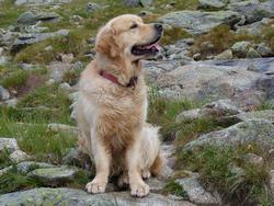 Clic pour agrandir l'image (1024x768 pixels; 196 KB)