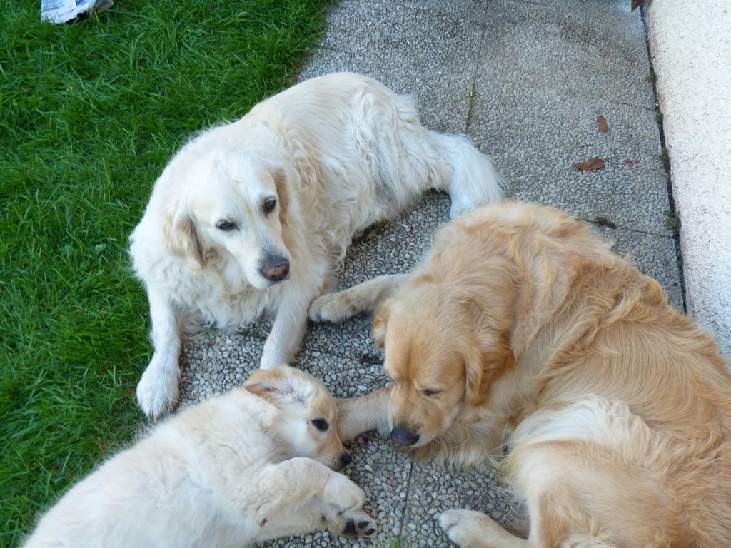 Clic pour l'image suivante