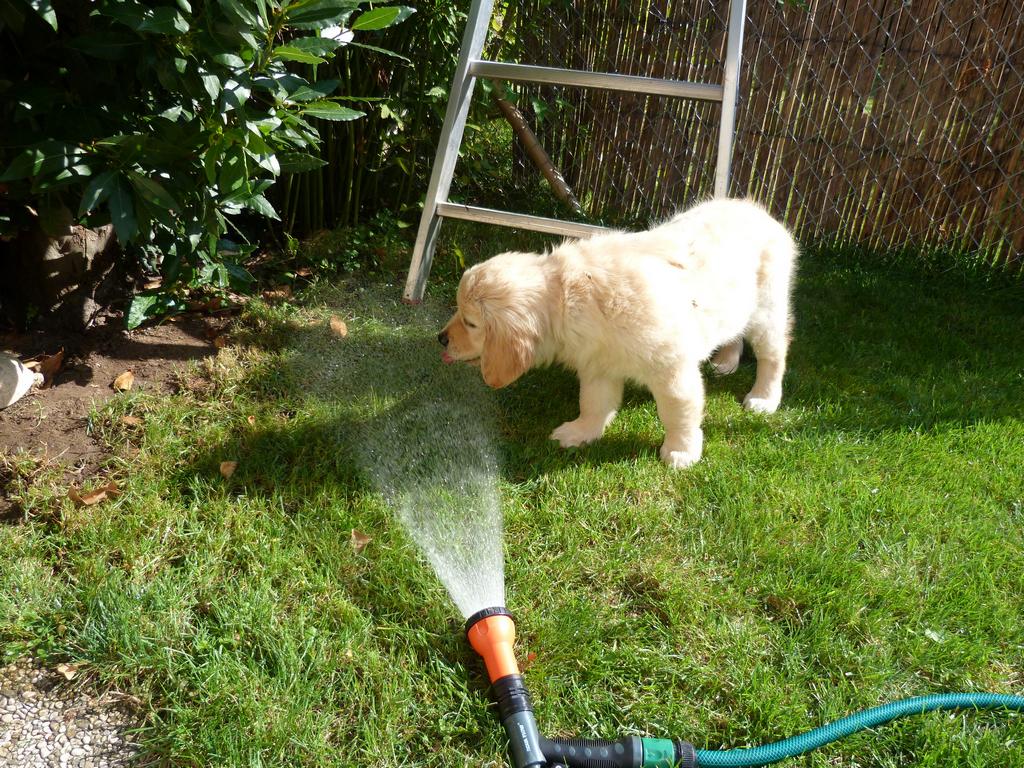 Clic pour l'image suivante