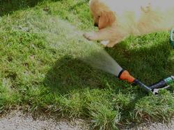 Clic pour agrandir l'image (1024x768 pixels; 213 KB)