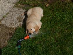 Clic pour agrandir l'image (1024x768 pixels; 198 KB)