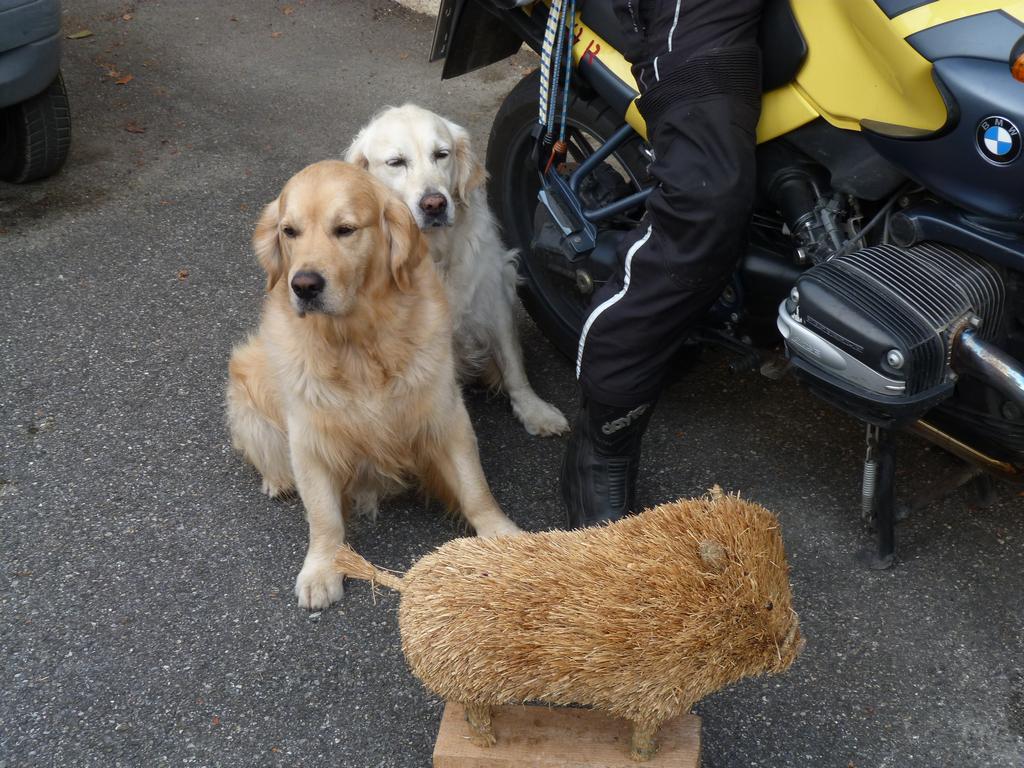 Clic pour l'image suivante