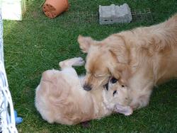 Clic pour agrandir l'image (1024x768 pixels; 169 KB)