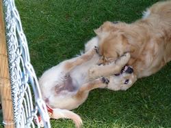 Clic pour agrandir l'image (1024x768 pixels; 168 KB)