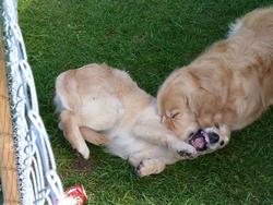 Clic pour agrandir l'image (1024x768 pixels; 165 KB)