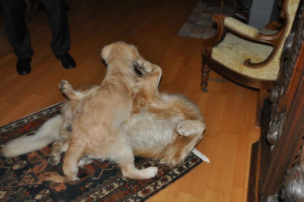 Clic pour l'image suivante