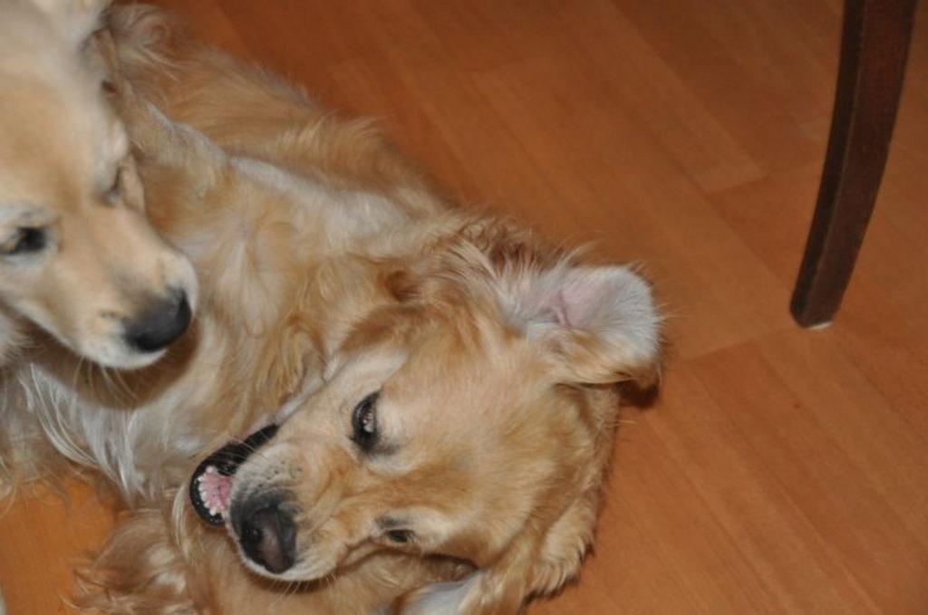 Clic pour l'image suivante