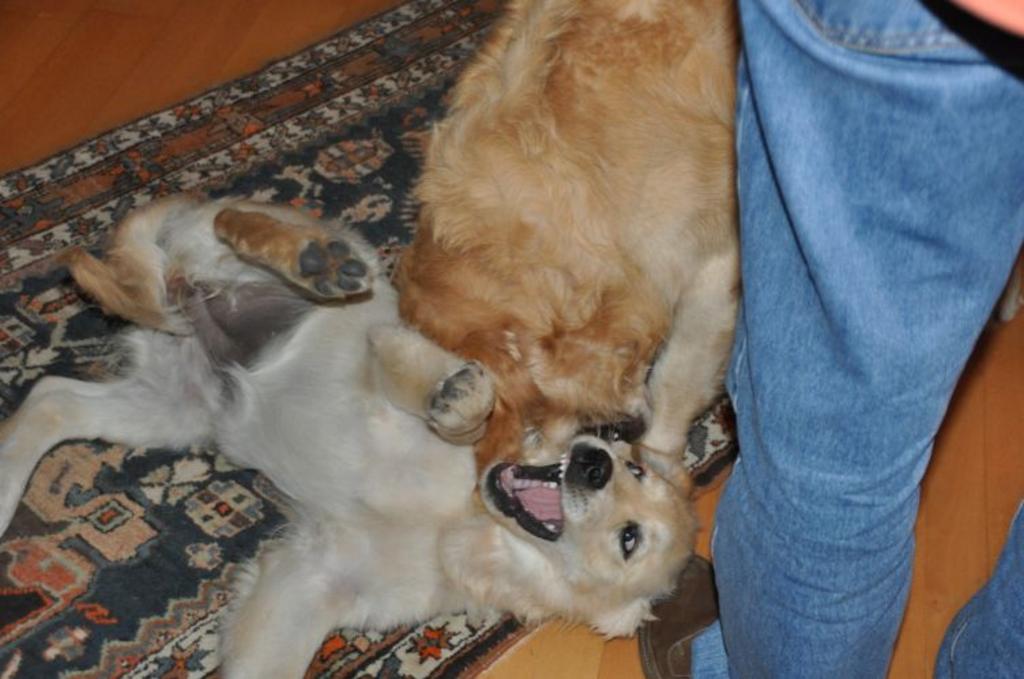 Clic pour l'image suivante