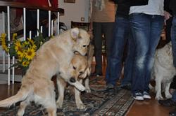 Clic pour agrandir l'image (1024x679 pixels; 80 KB)