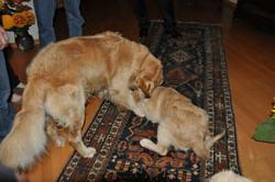 Clic pour agrandir l'image (1024x679 pixels; 76 KB)