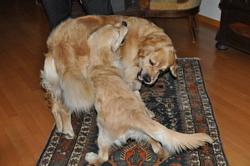 Clic pour agrandir l'image (1024x679 pixels; 75 KB)