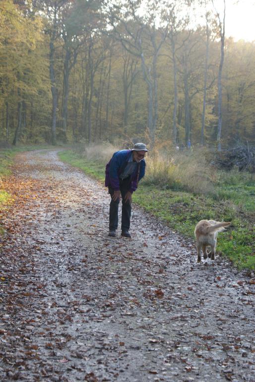 Clic pour l'image suivante
