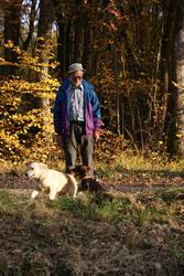 Clic pour agrandir l'image (514x768 pixels; 122 KB)