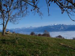 Clic pour agrandir l'image (1024x768 pixels; 160 KB)