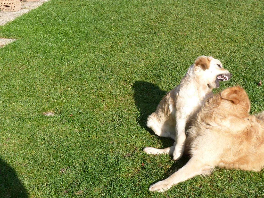 Clic pour l'image suivante