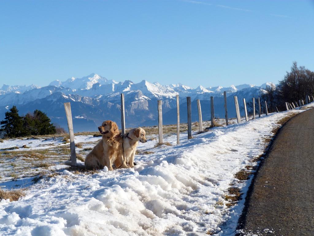 Clic pour l'image suivante