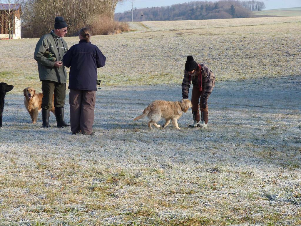 Clic pour l'image suivante