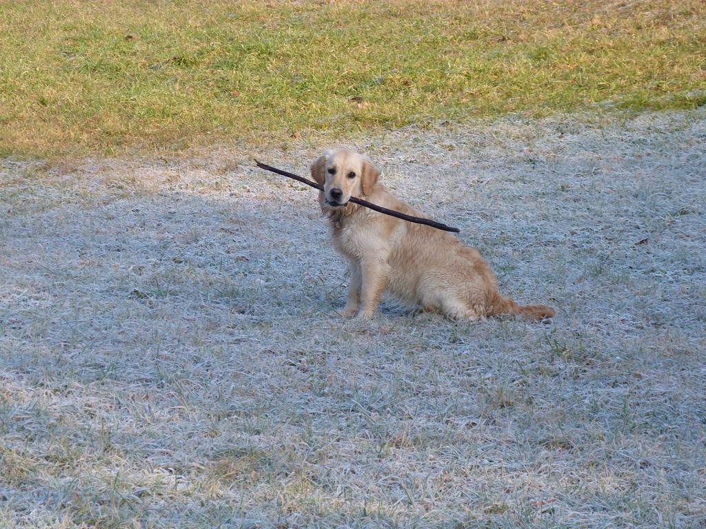 Clic pour l'image suivante