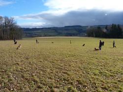 Clic pour agrandir l'image (1024x768 pixels; 175 KB)