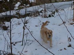 Clic pour agrandir l'image (1024x768 pixels; 104 KB)