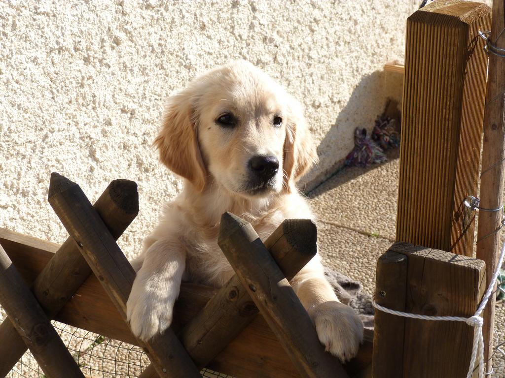 Clic pour l'image suivante