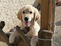 Clic pour agrandir l'image (1024x768 pixels; 135 KB)