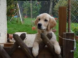 Clic pour agrandir l'image (1024x768 pixels; 160 KB)