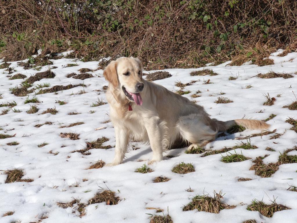 Clic pour l'image suivante