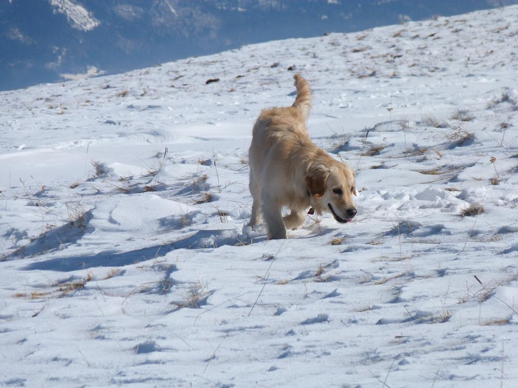 Clic pour l'image suivante