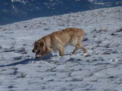 Clic pour agrandir l'image (1024x768 pixels; 105 KB)