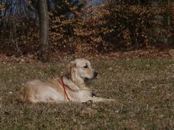 Clic pour agrandir l'image (1024x768 pixels; 153 KB)