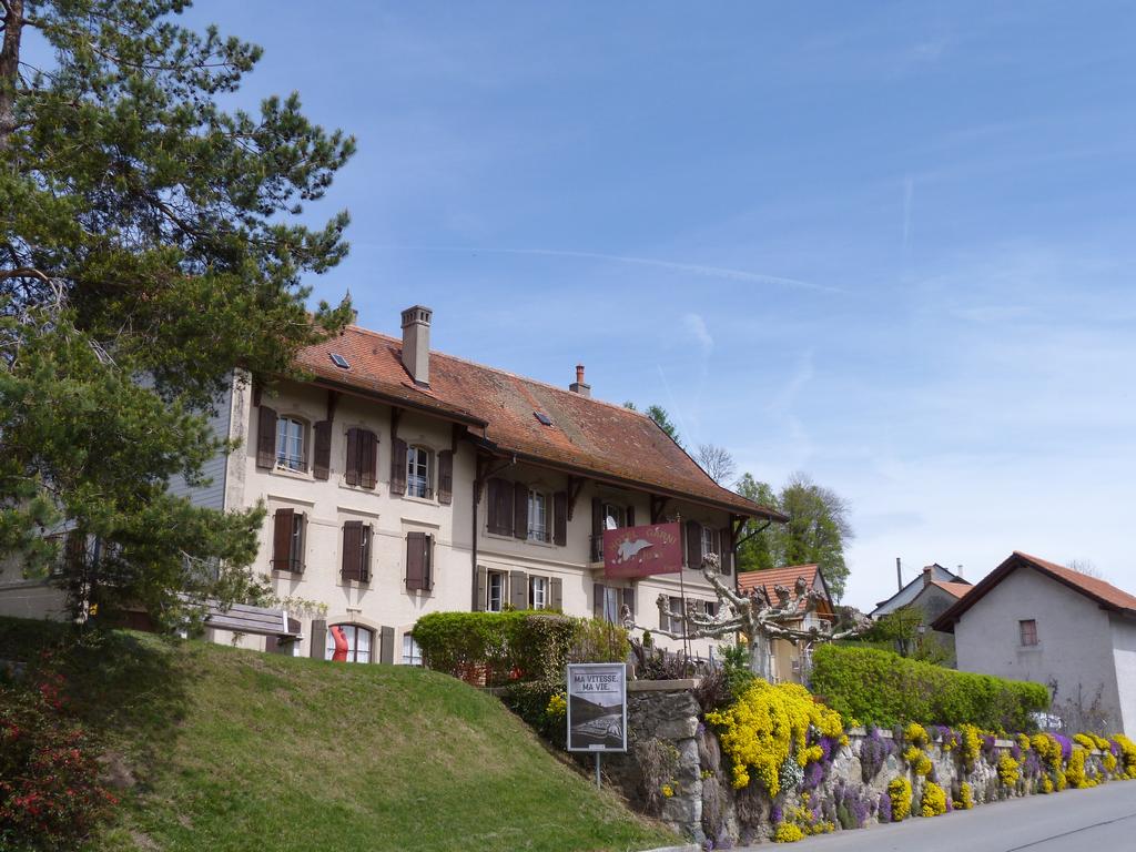 Clic pour l'image suivante