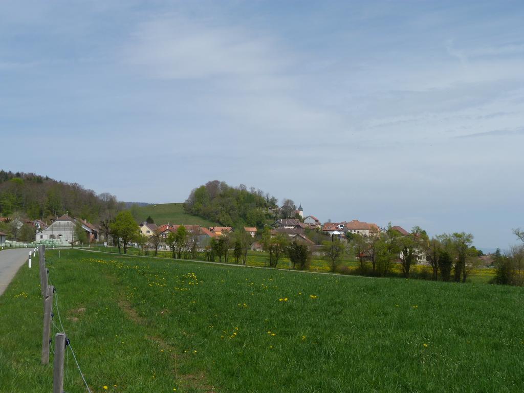 Clic pour l'image suivante