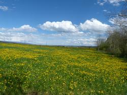 Clic pour agrandir l'image (1024x768 pixels; 167 KB)