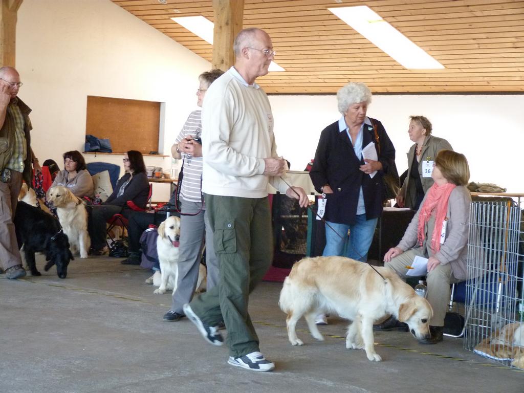 Clic pour l'image suivante