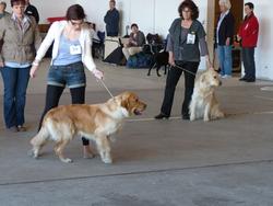 Clic pour agrandir l'image (1024x768 pixels; 92 KB)