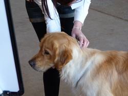 Clic pour agrandir l'image (1024x768 pixels; 70 KB)