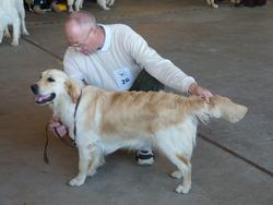 Clic pour agrandir l'image (1024x768 pixels; 81 KB)