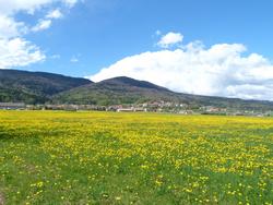 Clic pour agrandir l'image (1024x768 pixels; 165 KB)