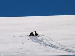 Clic pour agrandir l'image (1024x768 pixels; 97 KB)